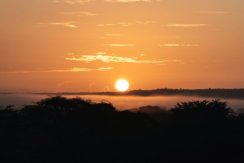 Sonnenuntergang im Park