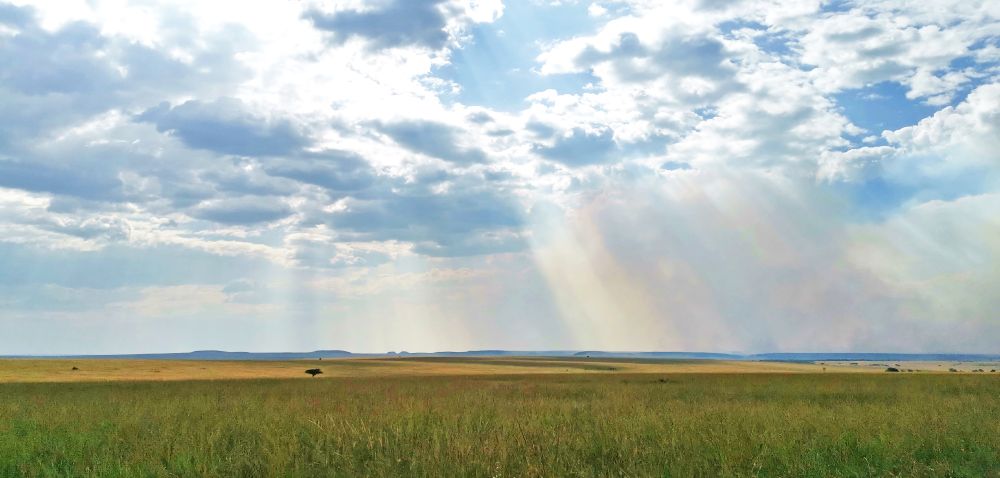 Landschaft der Masai Mara