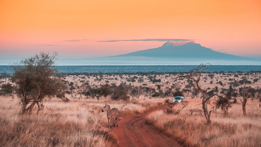 Pirschfahrt im Tsavo West Nationalpark